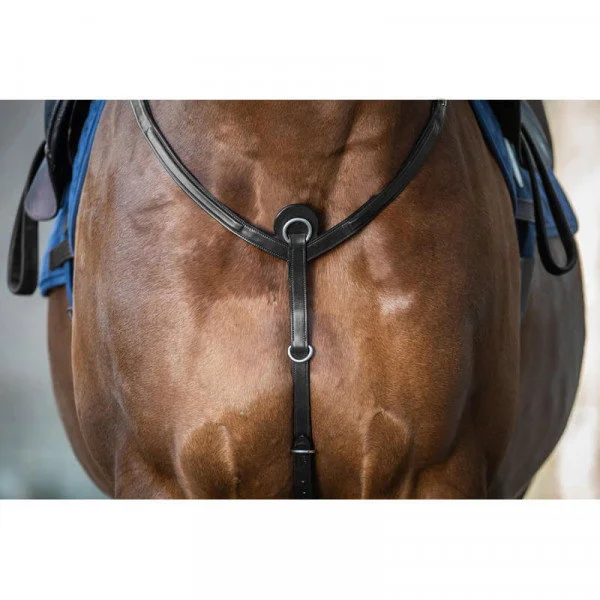 fundis-equestrian202607242233543286235
