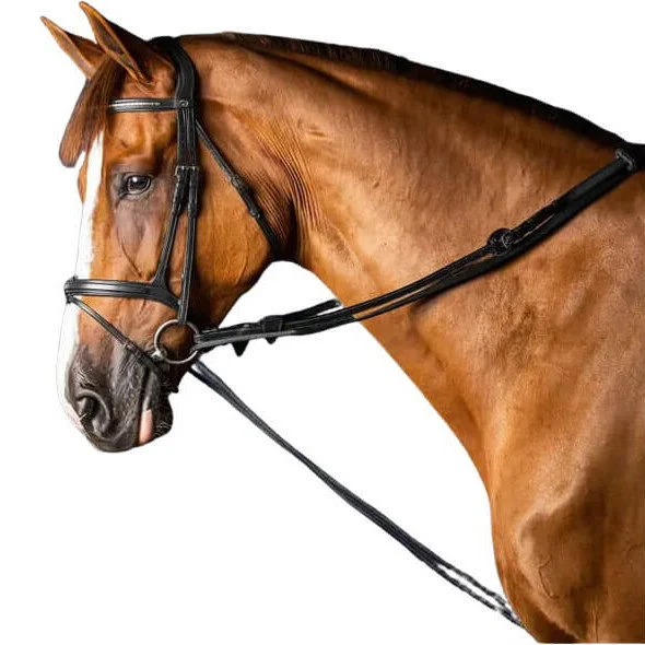 fundis-equestrian202607242234053286247