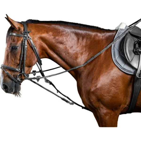fundis-equestrian202607242234333286295