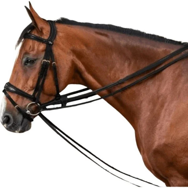 fundis-equestrian202607242235233286378
