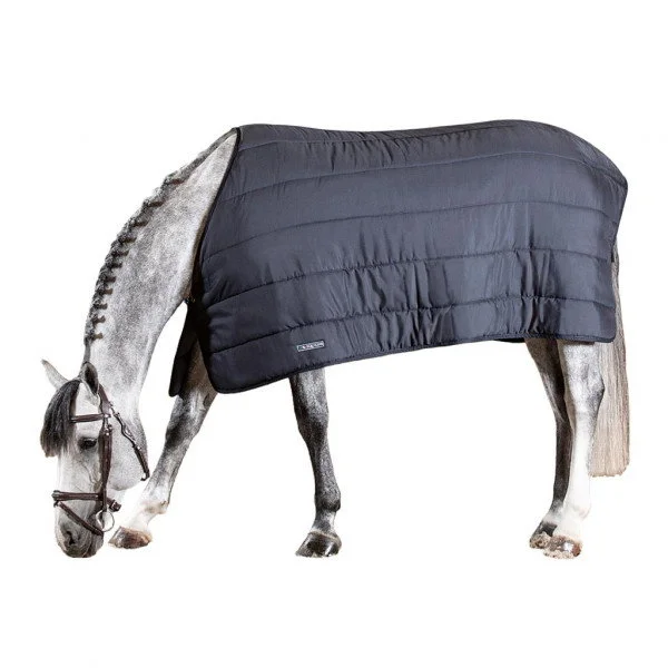 fundis-equestrian202607242241343287037