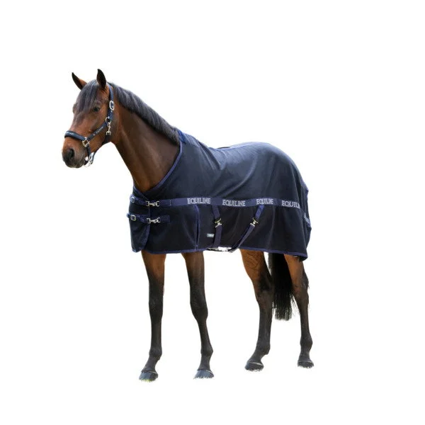 fundis-equestrian202607242241353287039