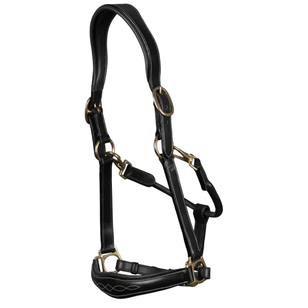 fundis-equestrian202607242244293287340