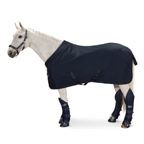 fundis-equestrian202607242244503287373