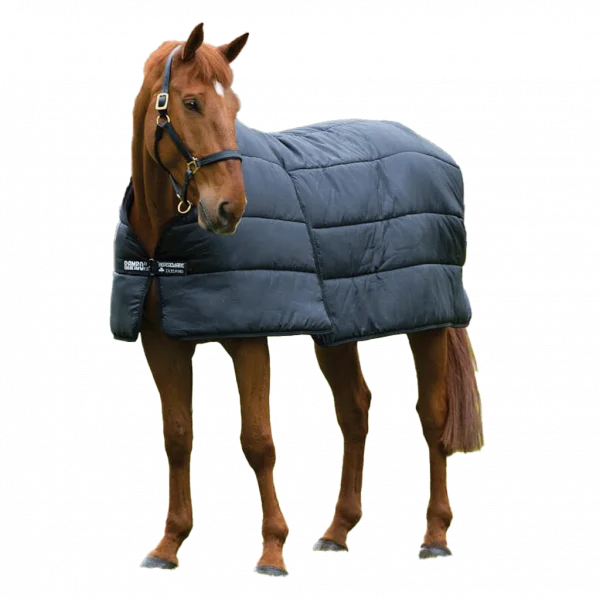 fundis-equestrian202607242251563288097