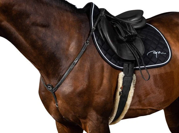 fundis-equestrian202607242256423288603