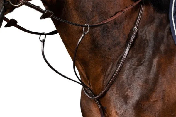 fundis-equestrian202607242256483288612
