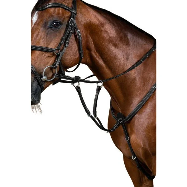 fundis-equestrian202607242257313288697