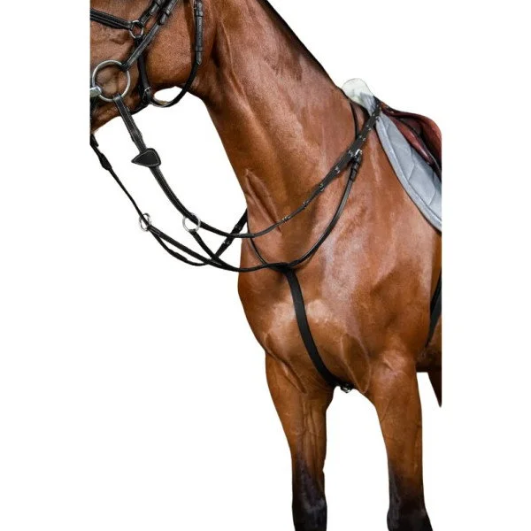 fundis-equestrian202607242257383288708