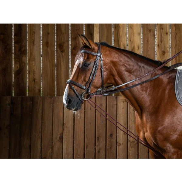 fundis-equestrian202607242257463288724