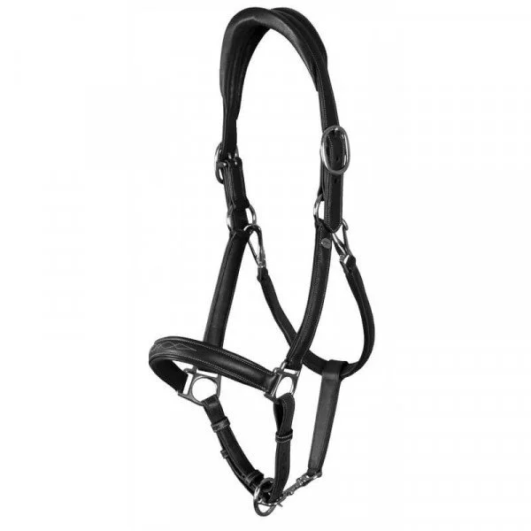 fundis-equestrian202607242257523288743