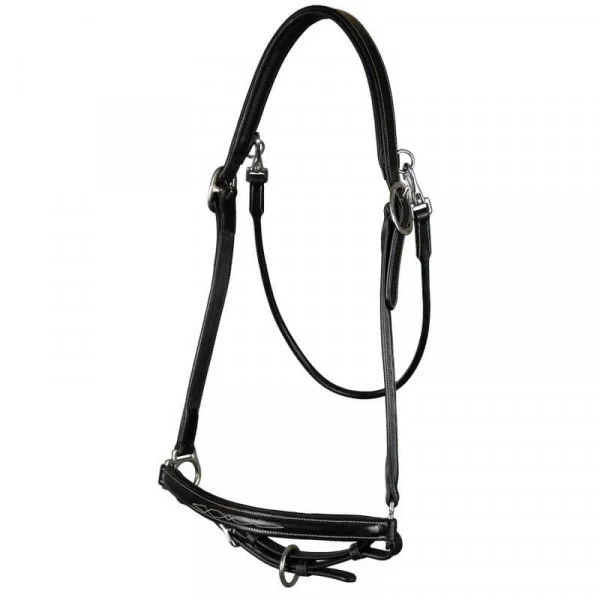 fundis-equestrian202607242257583288749