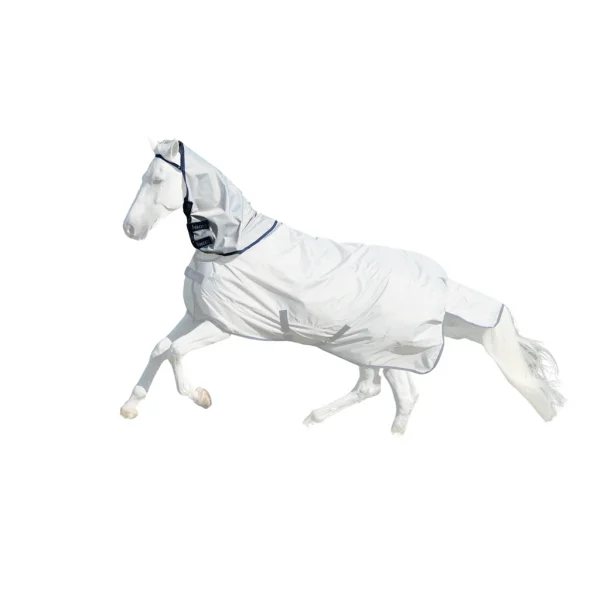 fundis-equestrian202607242302493289272