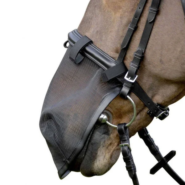 fundis-equestrian202607242305313289525