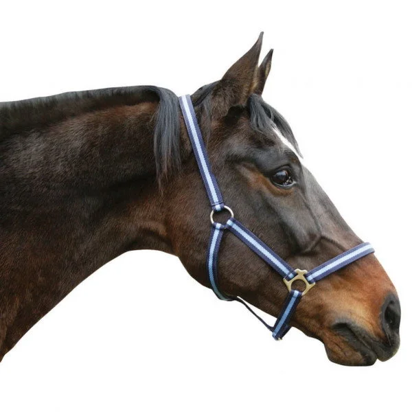fundis-equestrian202607242305403289536
