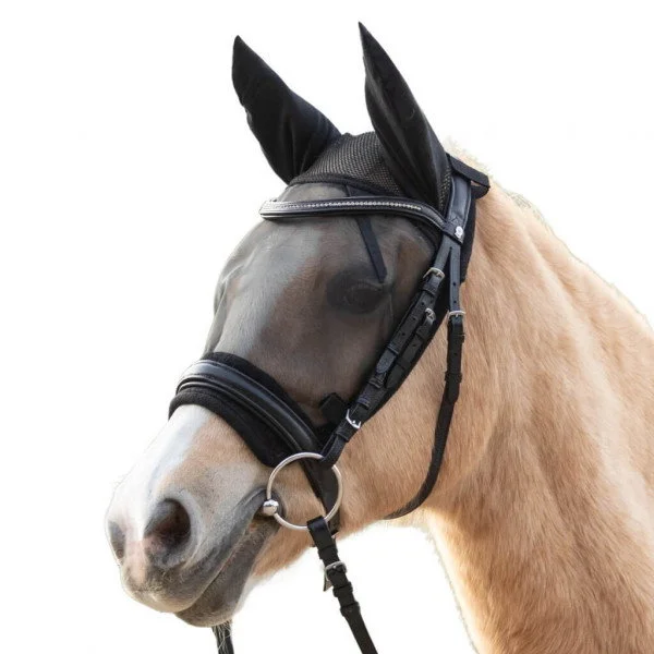fundis-equestrian202607242308163289776