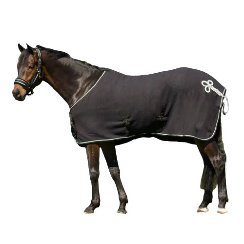 fundis-equestrian202607242314183290342