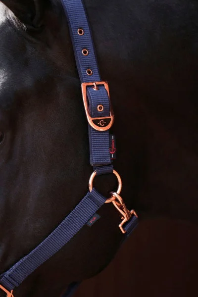 fundis-equestrian202607242314243290351