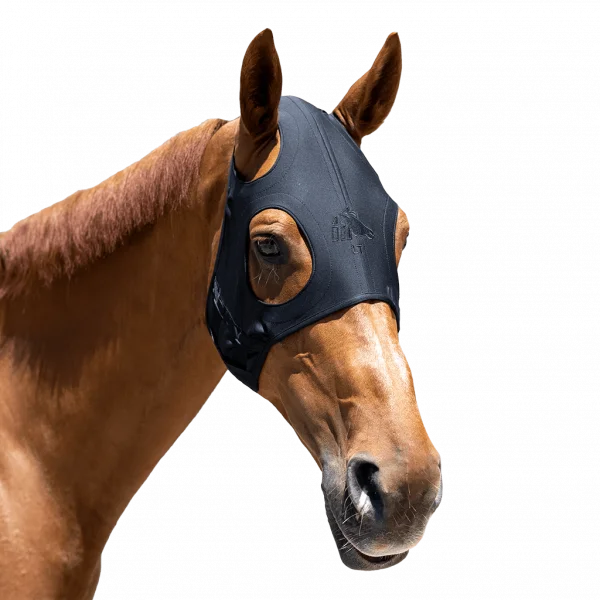 fundis-equestrian202607242318353290815