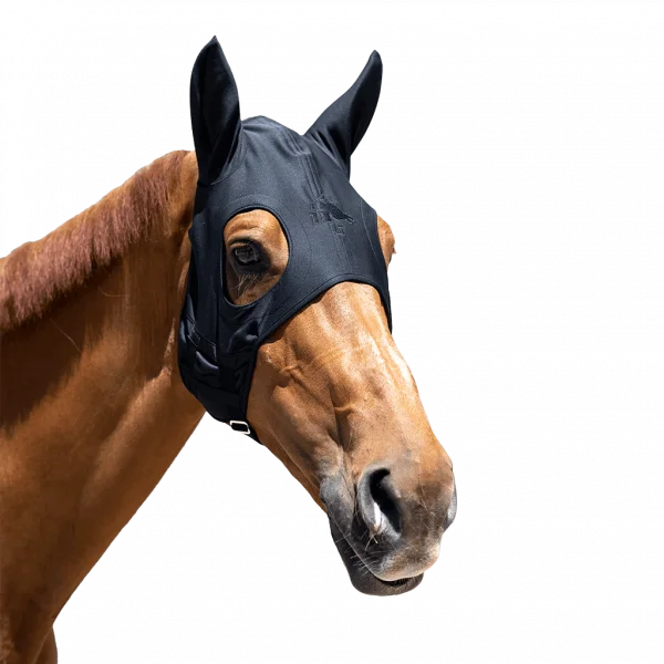 fundis-equestrian202607242318443290836