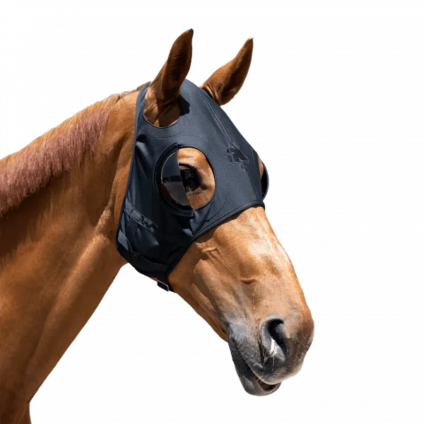 fundis-equestrian202607242318543290849