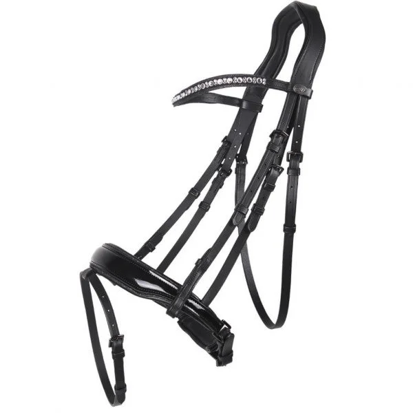 fundis-equestrian202607242319173290885