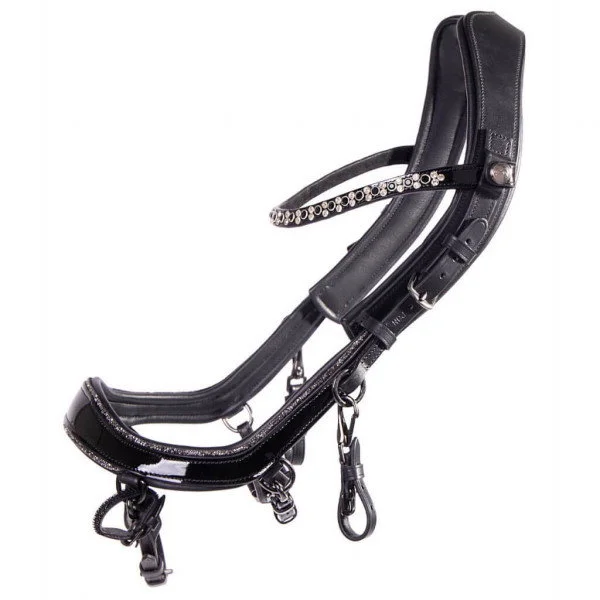 fundis-equestrian202607242322423291177