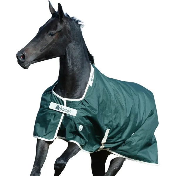 fundis-equestrian202607242326163291499