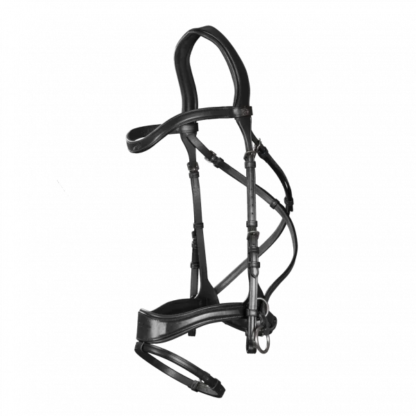 fundis-equestrian202607242330273291875