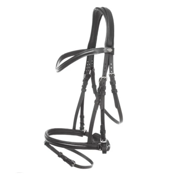 fundis-equestrian202607242334553292314