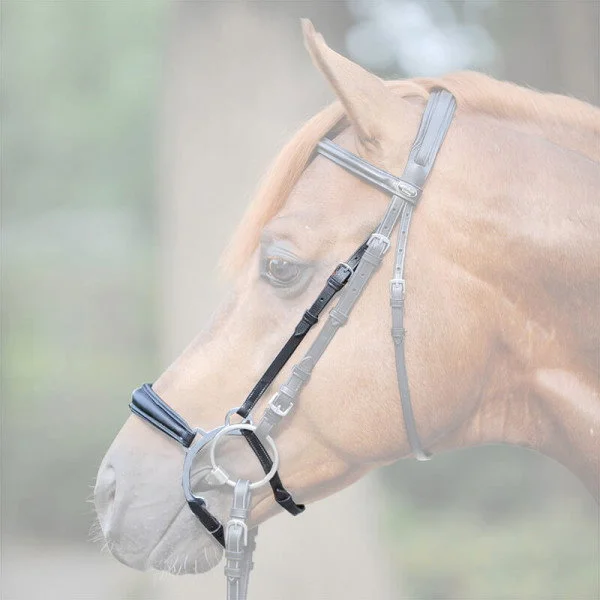 fundis-equestrian202607242336193292459