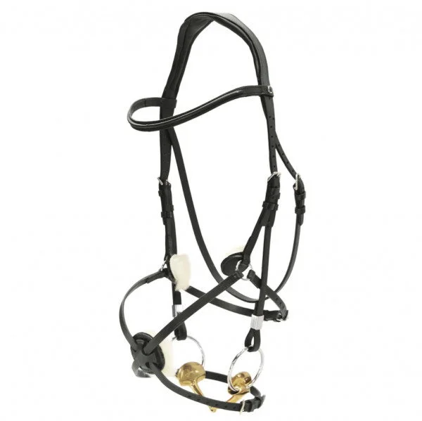 fundis-equestrian202607242336563292531
