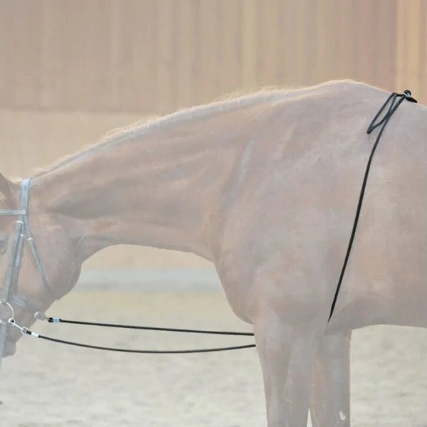 fundis-equestrian202607242339263292785
