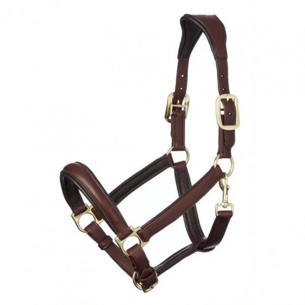 fundis-equestrian202607242339563292831