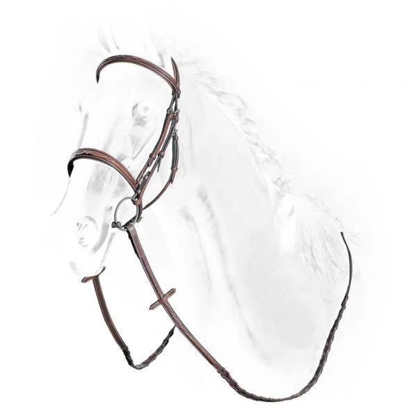 fundis-equestrian202607242341183292983