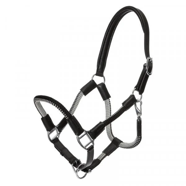 fundis-equestrian202607242342283293109