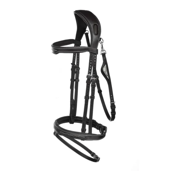 fundis-equestrian202607242342543293157