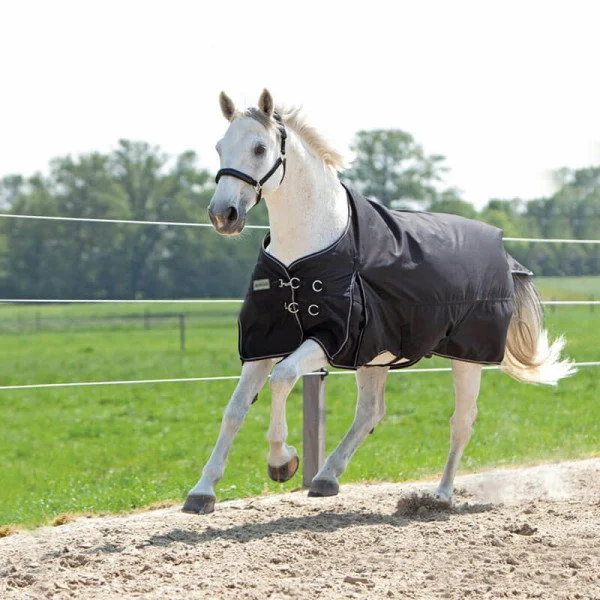 fundis-equestrian202607242344453293349