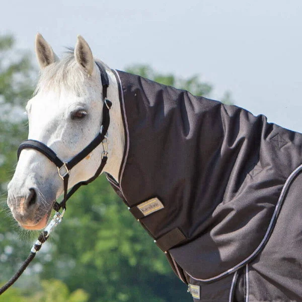 fundis-equestrian202607242344513293358