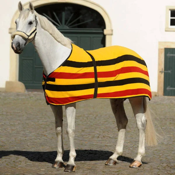 fundis-equestrian202607242344553293367