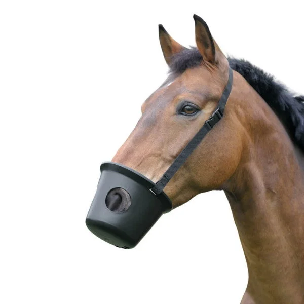 fundis-equestrian202607242347043293566