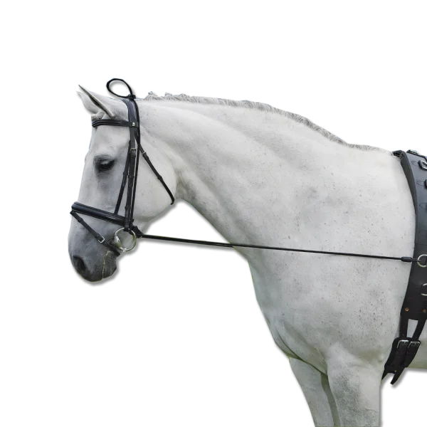 fundis-equestrian202607242347233293594