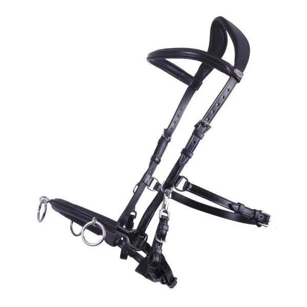 fundis-equestrian202607242347483293637