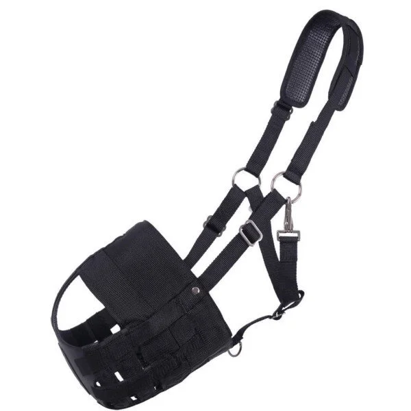 fundis-equestrian202607242348313293709