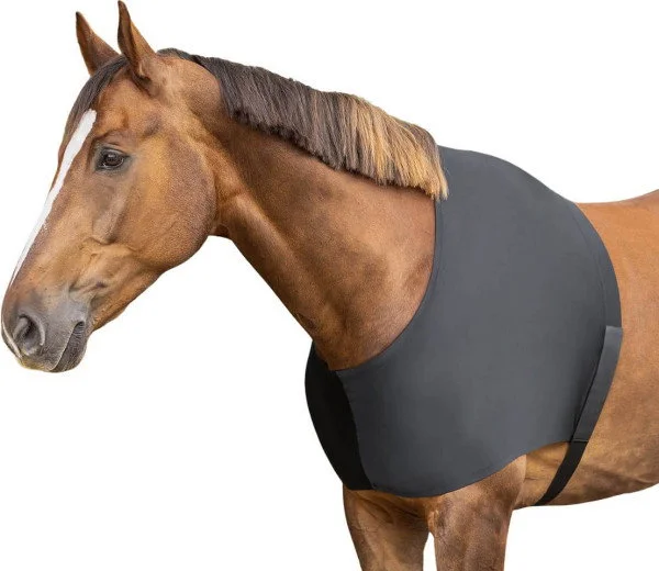 fundis-equestrian202607242349233293785