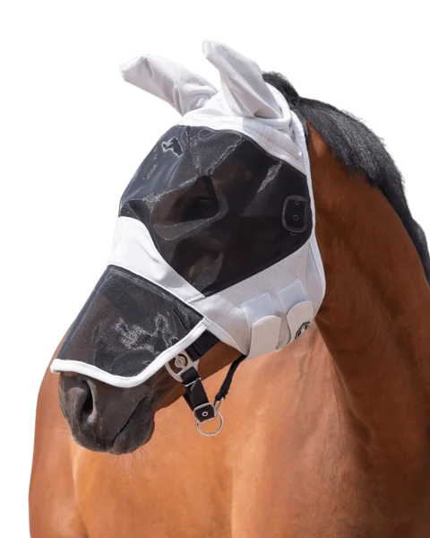 fundis-equestrian202607242350023293844