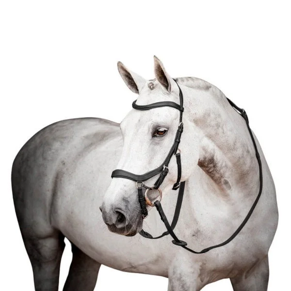 fundis-equestrian202607242352393294096