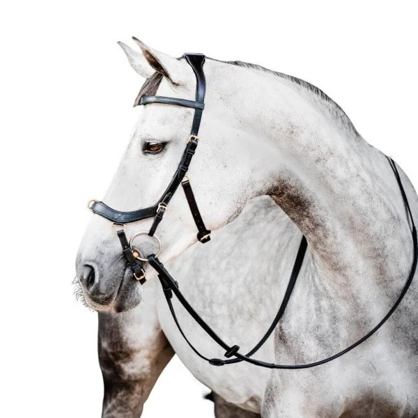 fundis-equestrian202607242352433294101