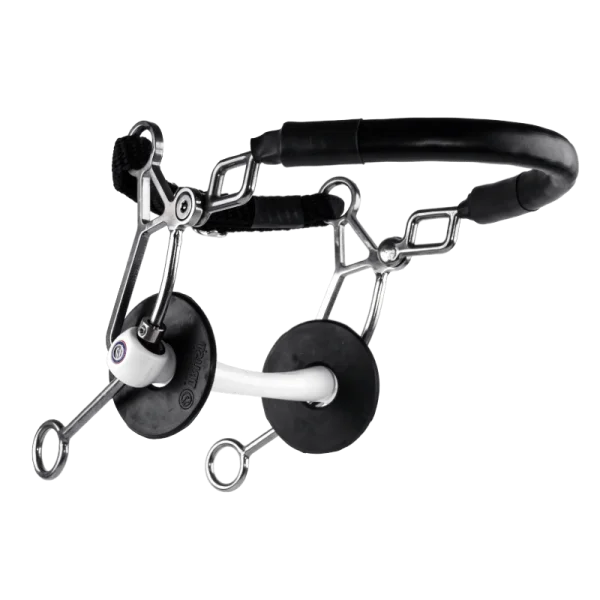 fundis-equestrian202607242356183294469