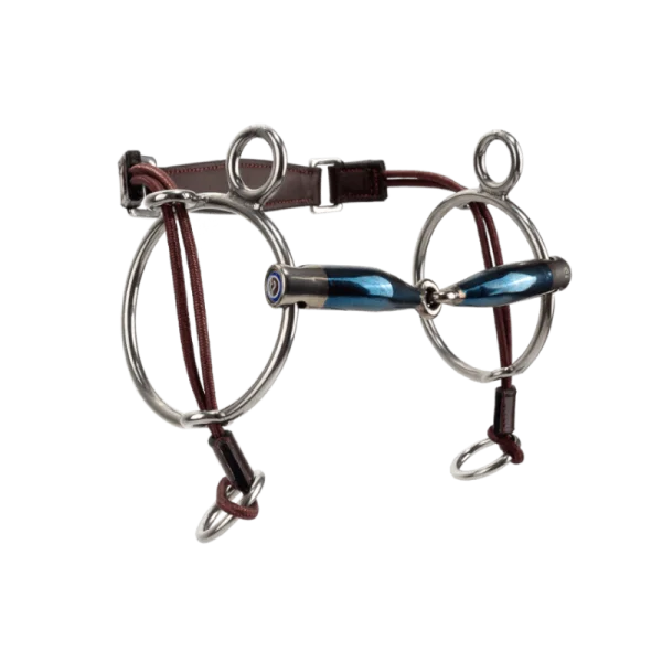 fundis-equestrian202607242356423294507